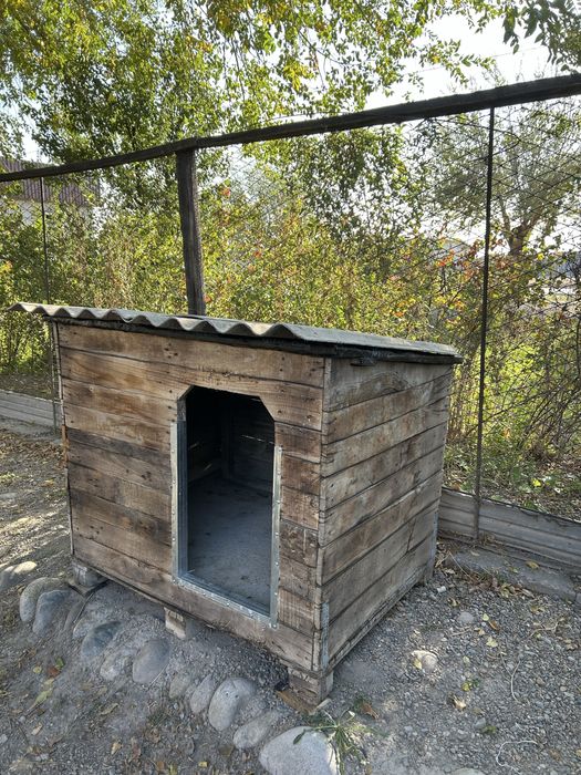 Ит ұясы. Будка для собаки.