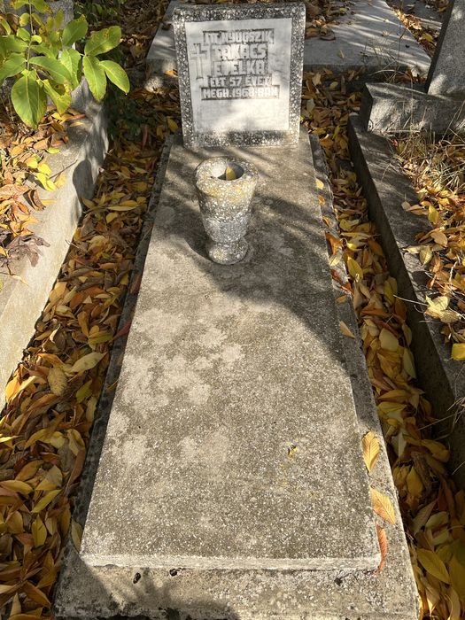 Vand loc de veci cimitir UTA