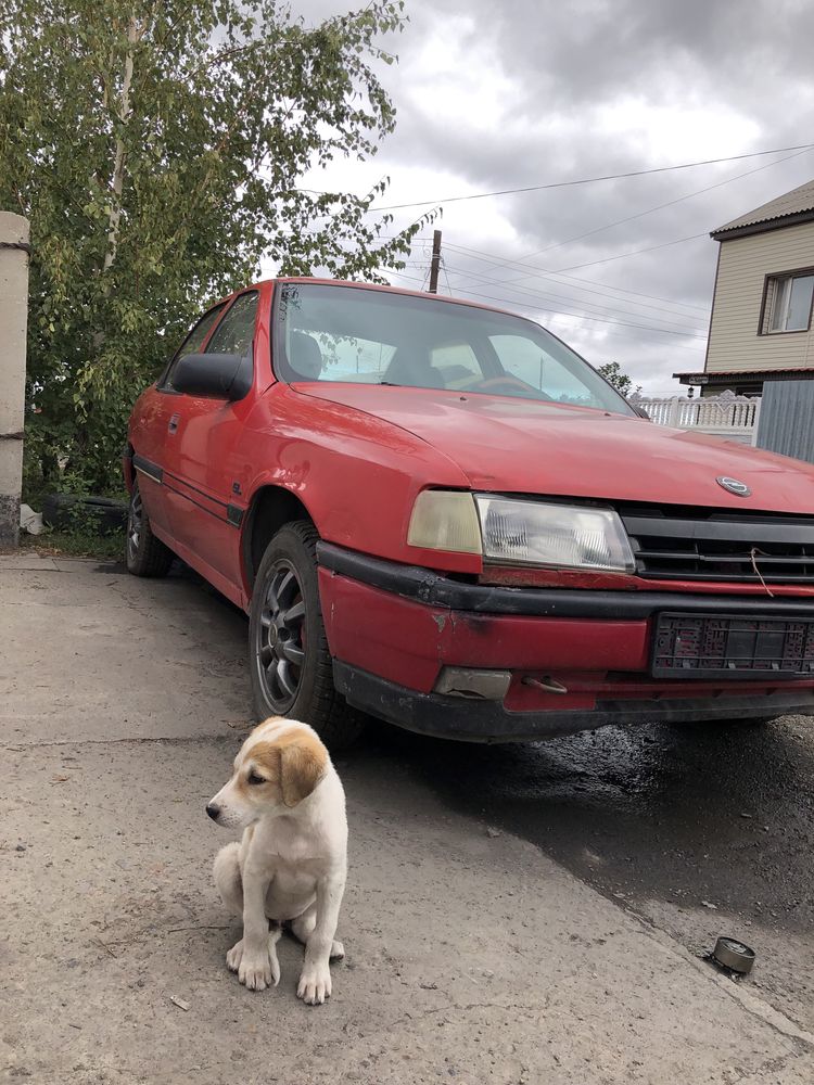 Opel Vectra 1989