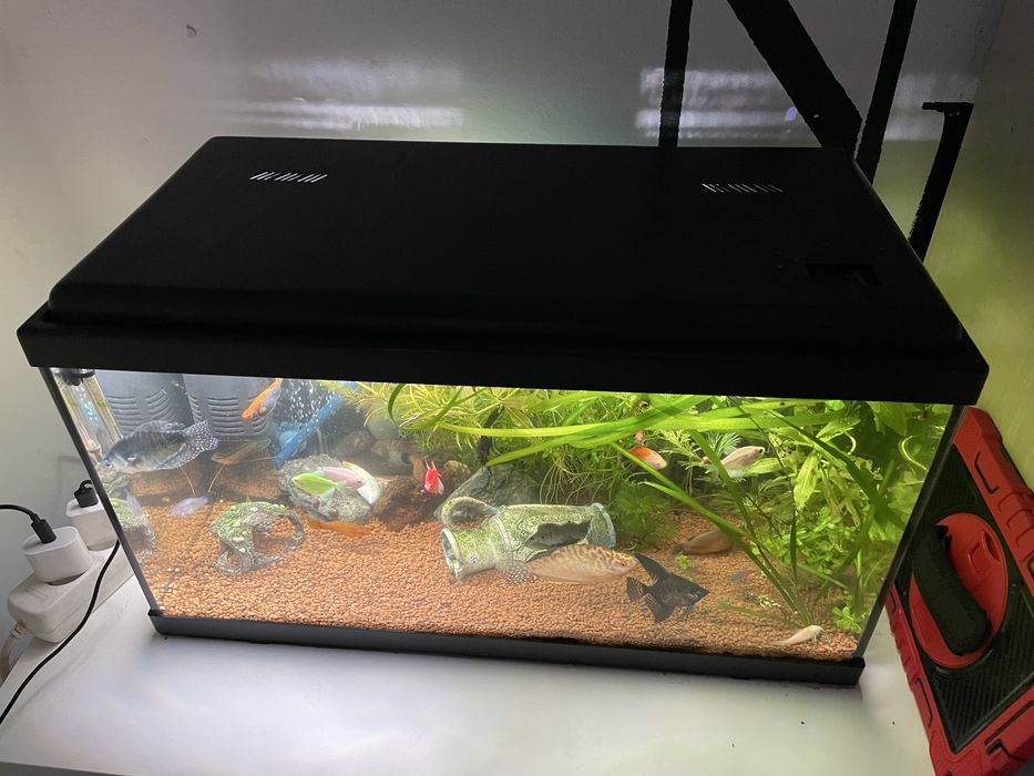Acvariu 54 Litri Complet