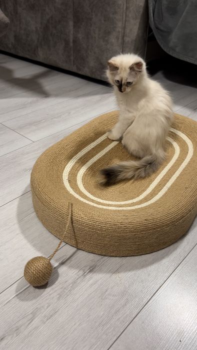 Лежанка для кошек