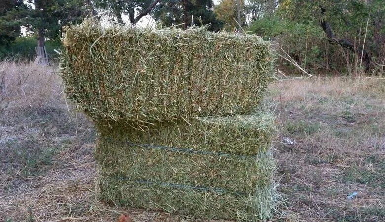 Сено отличного качества,разнотравье луговое.
