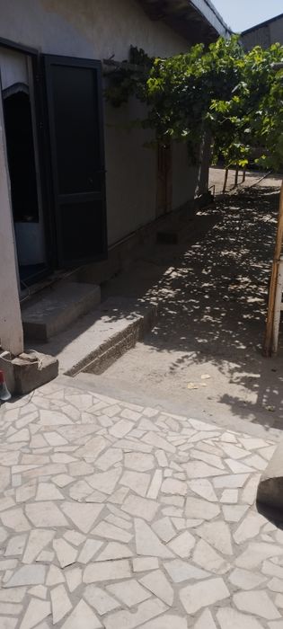 Ховли кармана талкок