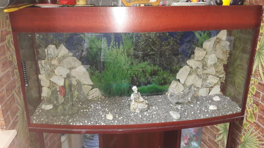 Продам аквариумы