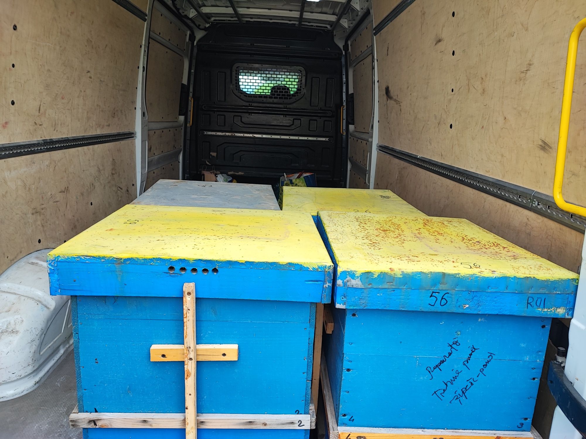 Debarasări, Relocări, Mutări, Transport, Manipulați