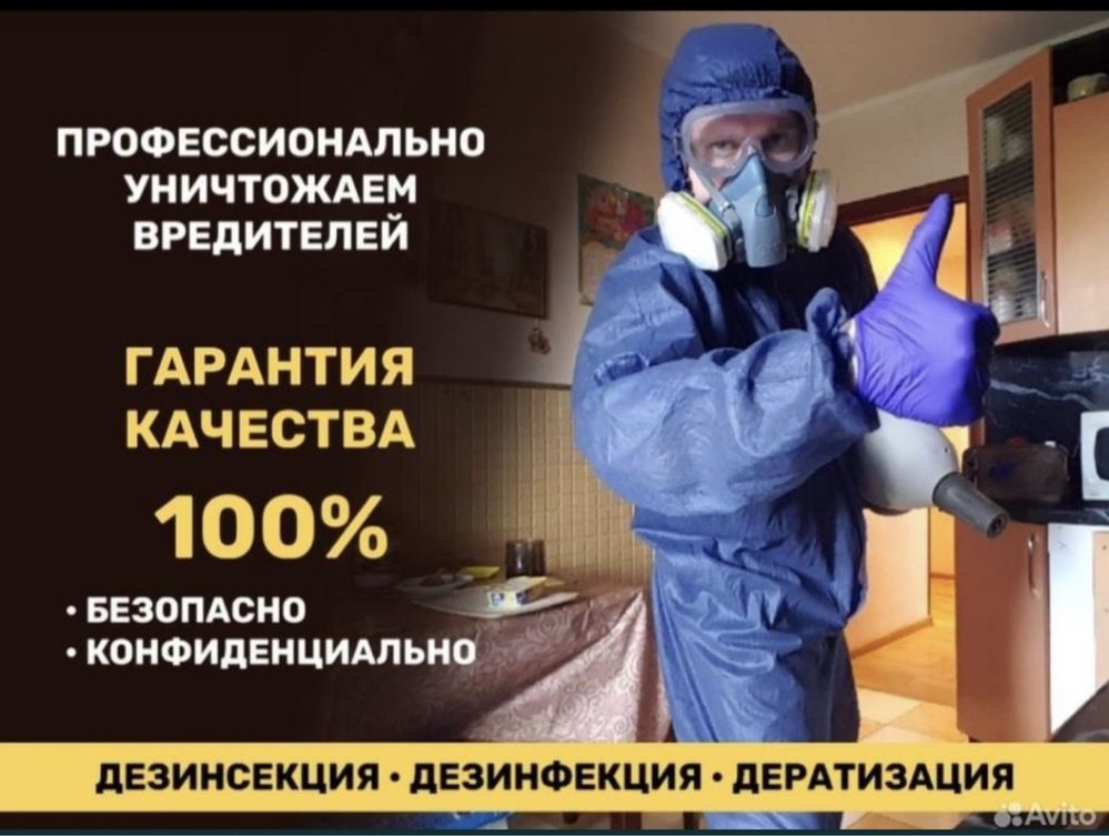 Таракан клопы дезинфекция дезинсекция