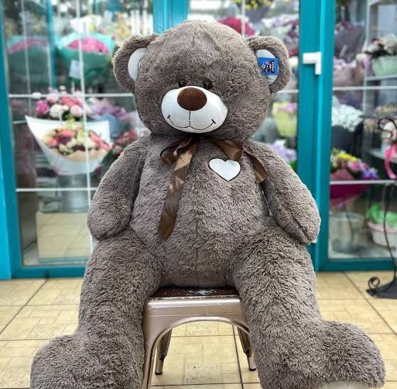 Teddy Teddi teddy, Xitoy original (30sm 3metrgacha)