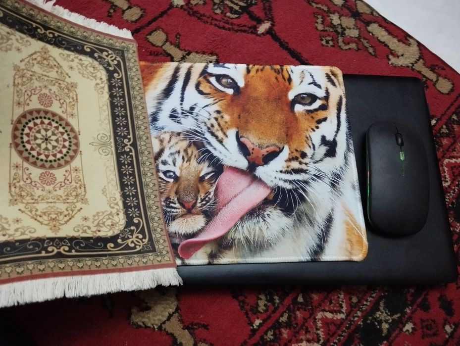 Haier Netbook sotiladi