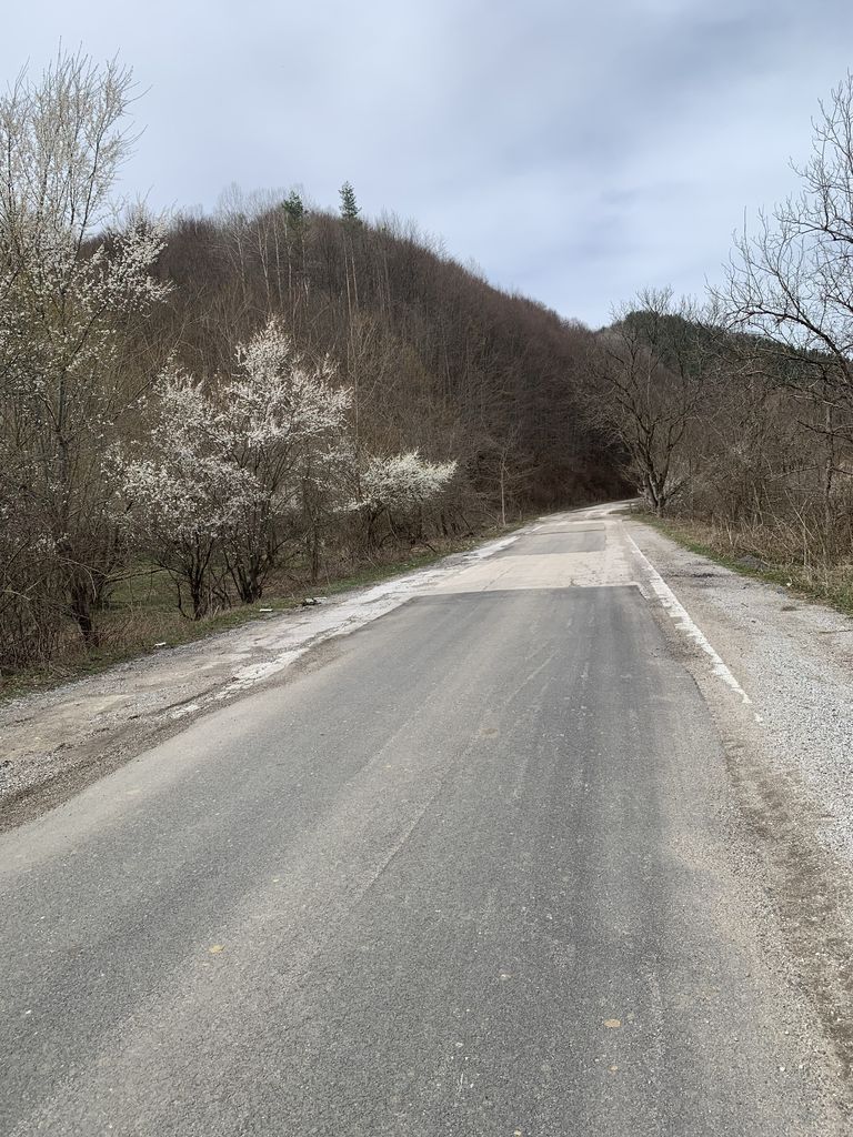 Продава се Парцел в с. Ямна, Област София-област - 828 кв.м за 14 €/кв.м - Снимка #8