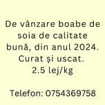 Boabe de Soia din 2024
