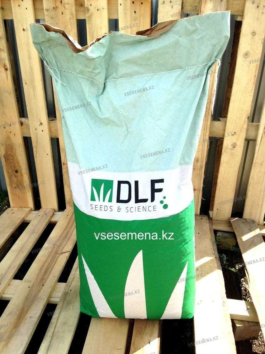 Газон теневыносливый DLF