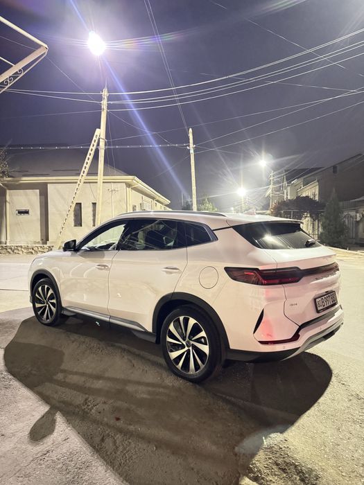 Bvd song plyus chempion