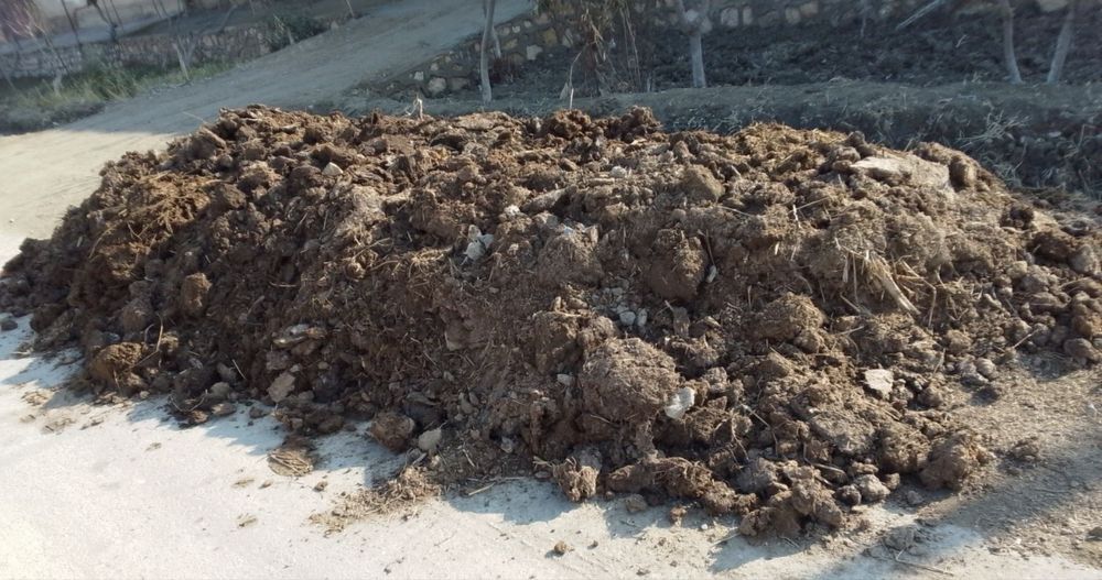 Нури, отдам даром