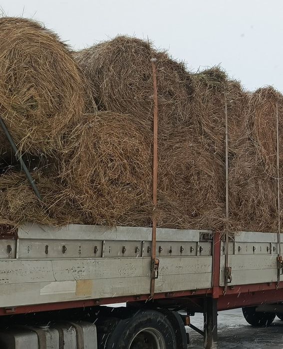 Рулон с доставкой