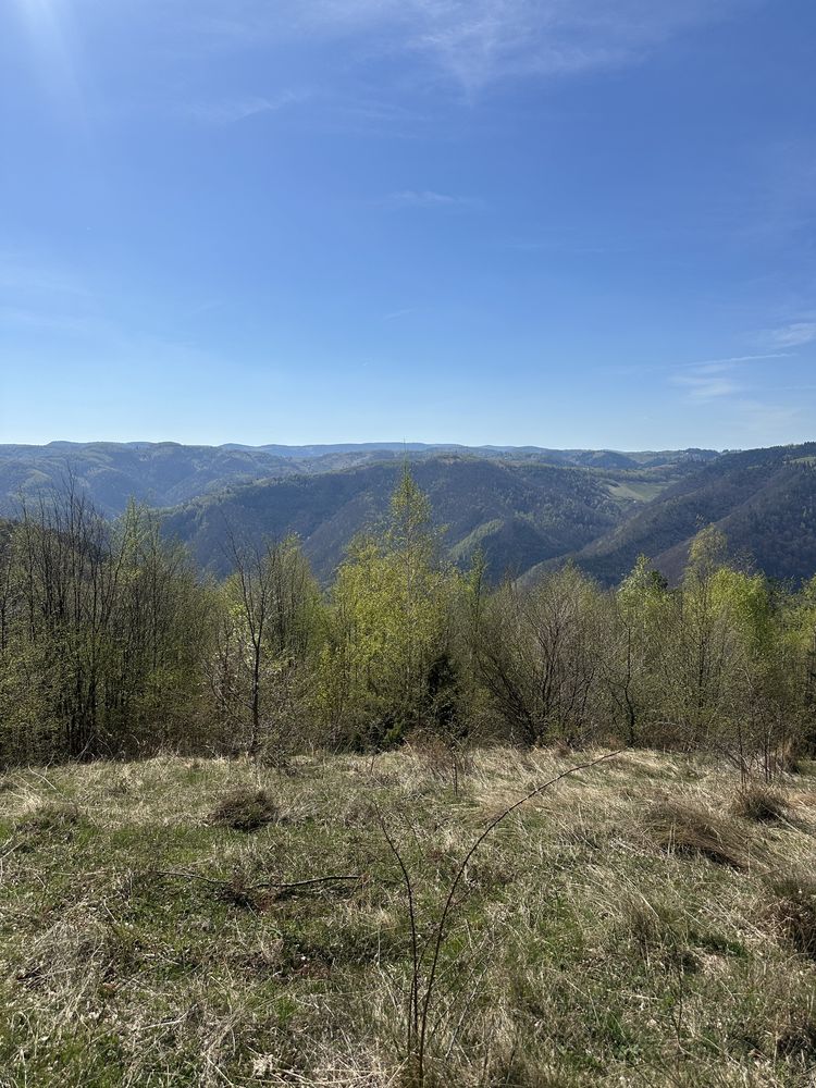 Vand Teren in Dealu Mare(Rasca) pe noul drum Turistic Râsca-Mărisel.