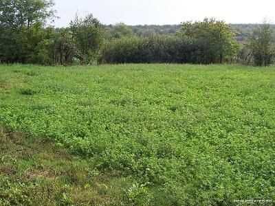 Продава се Къща в с. Славейково, Област Ямбол - 45 кв.м за 111 €/кв.м - Снимка #3