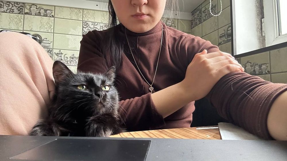 Черный кот. Домашний, питается кормом