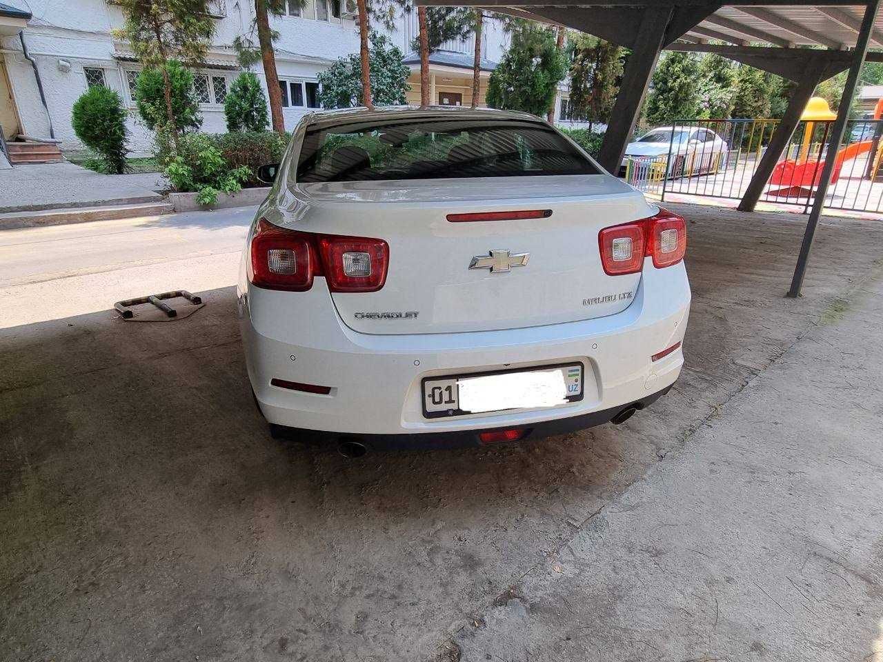 Malibu 1  (3 позиция)