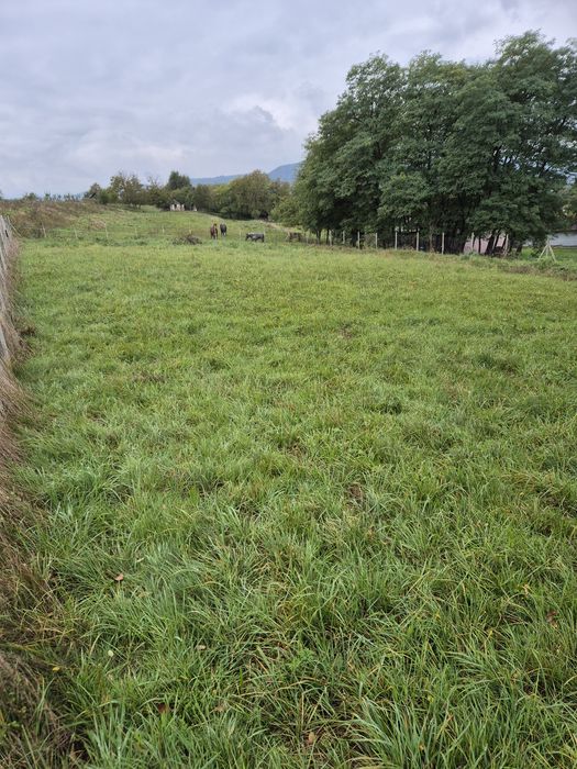 Teren 1.500 mp Sighetu Marmației