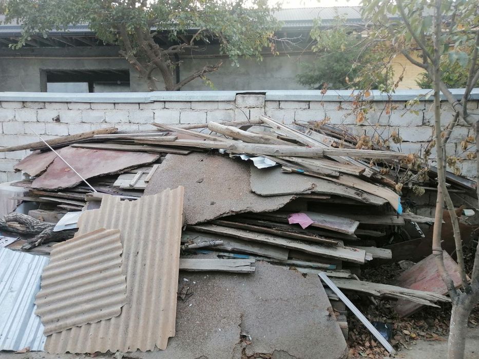 Daxta eski yogʻochlar