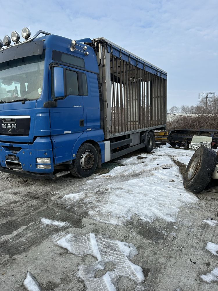 dezmembrez man tgx