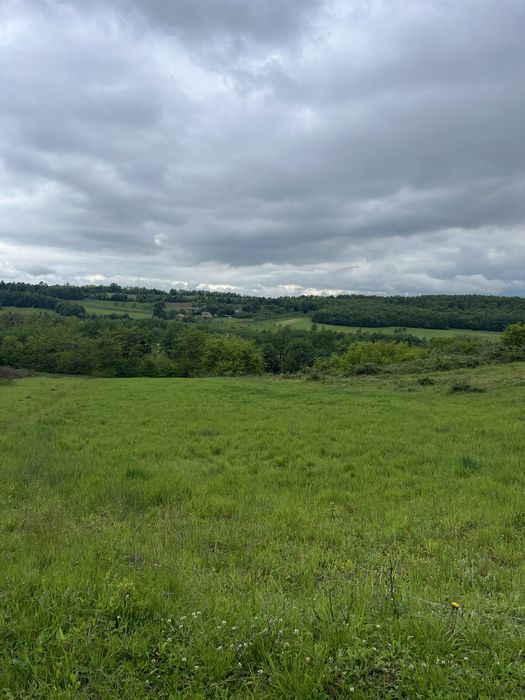 Teren 2.917 mp – Meșeșenii de Sus, poalele Meseșului – ideal cabană