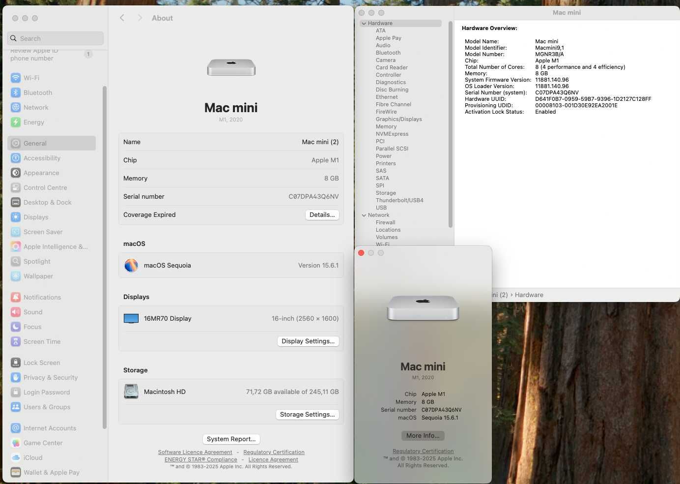 Apple Mac mini with Apple M1 Chip (8GB RAM, 256GB SSD) + KB & Mouse
