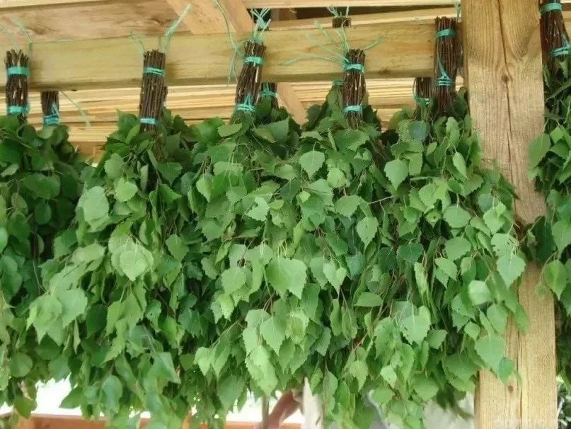 Продам березовый веник