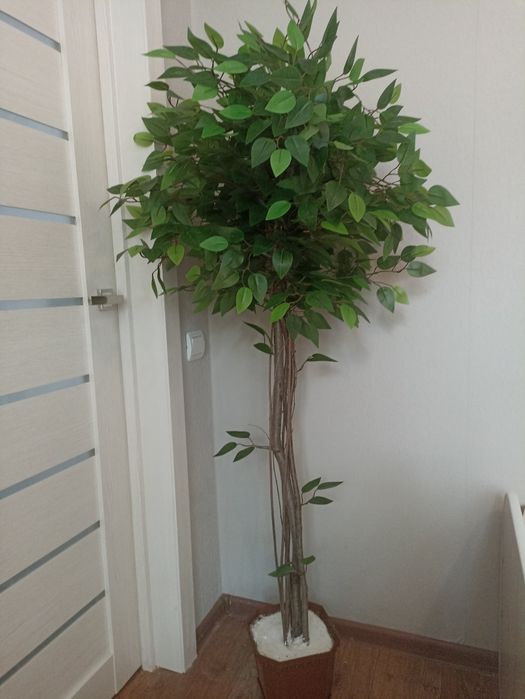 Фикус искусственный