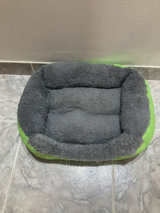 Ghiozdan transport pisica