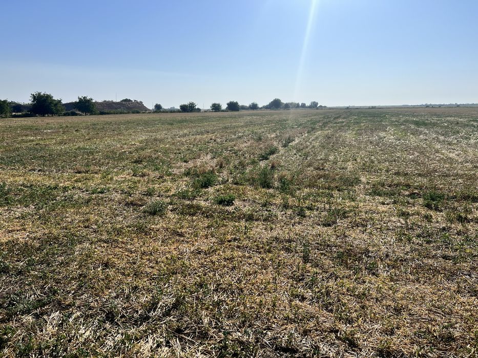 Vand teren centura Focsani campus unuiversitar