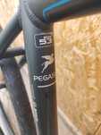 Cadru bicicleta electrica Pegasus