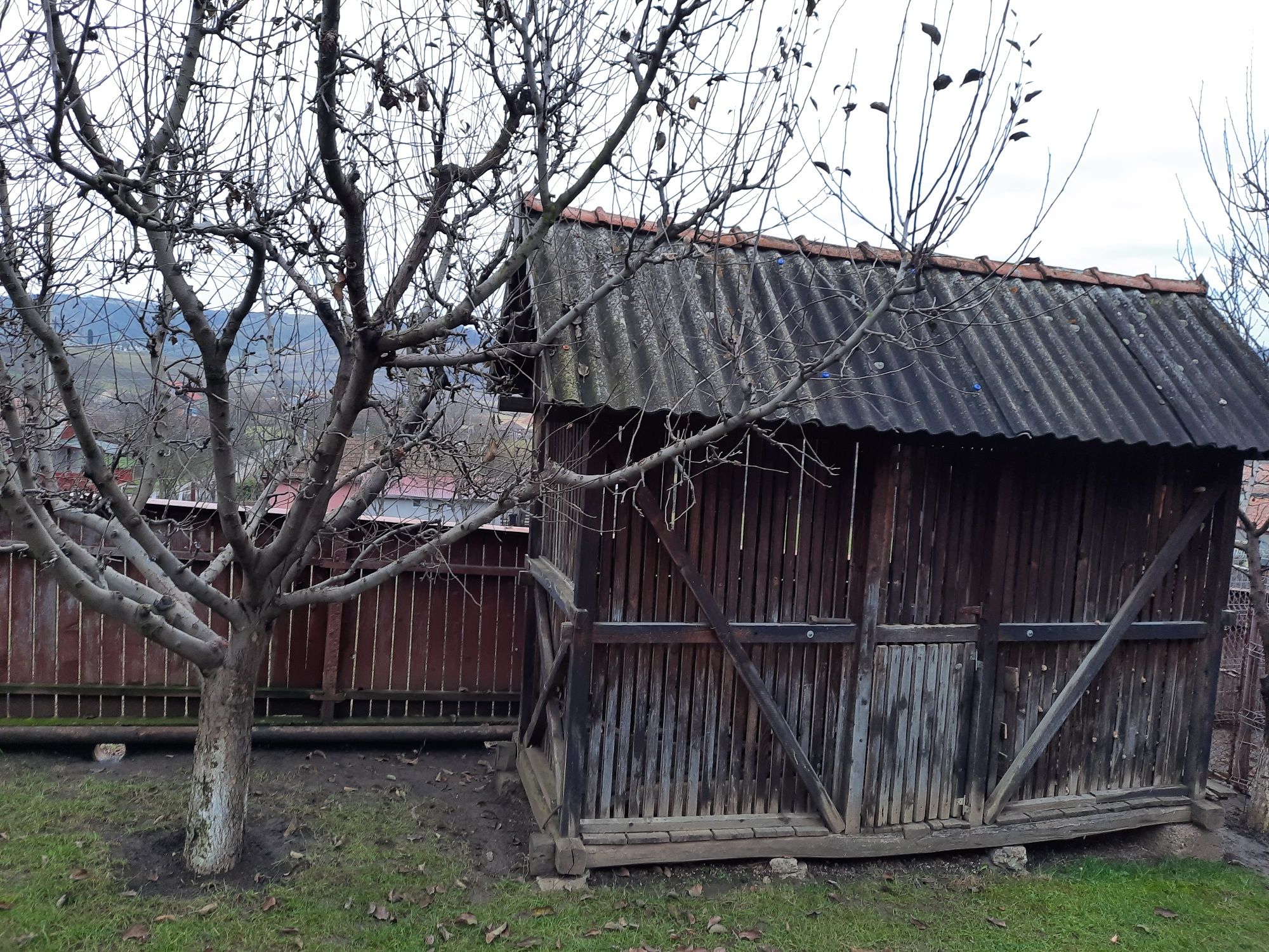 Vând coșar porumb sau schimb