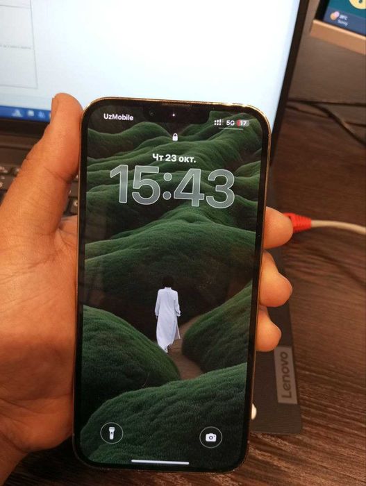 Iphone 13 pro max gold