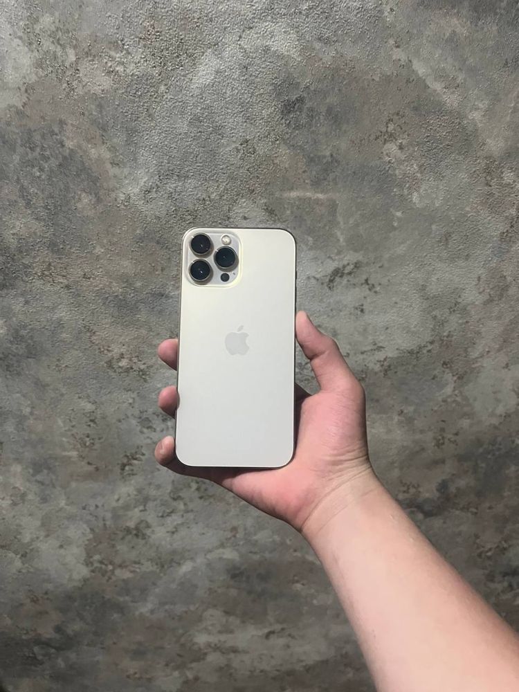 iphone 13pro max