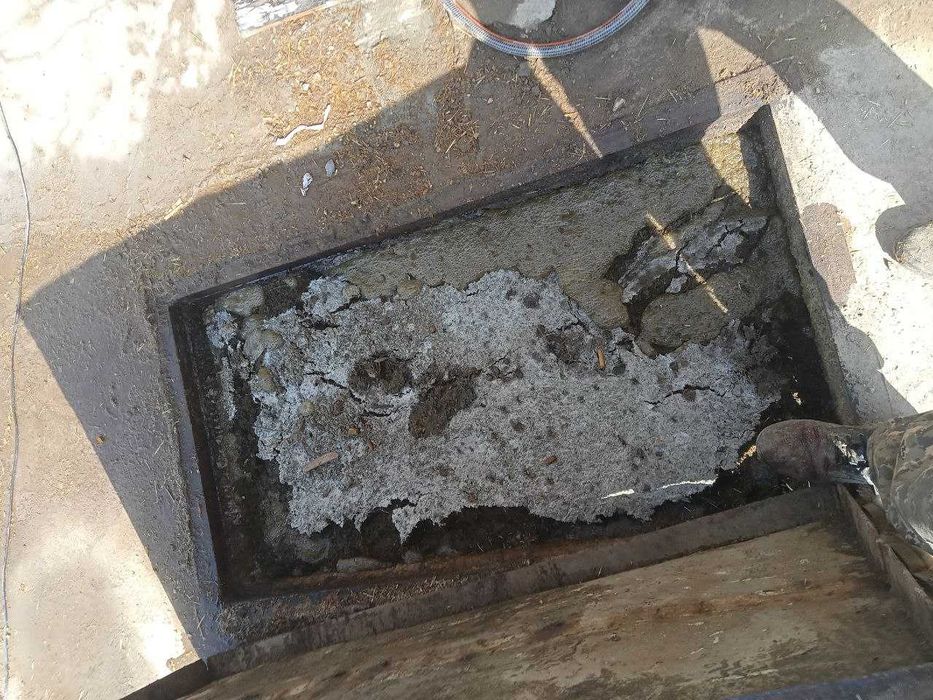 Жидкий БИОГОМУС бесплатно . Органическое удобрение