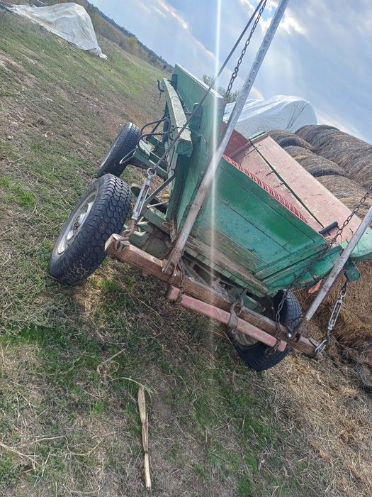 Armasar cu tot cu caruța de vanzare