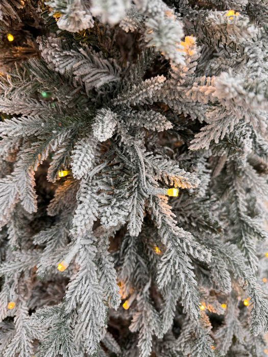 Qorli archa. Снежная ёлка. Заснеженная ёлка. Бесплатная доставка