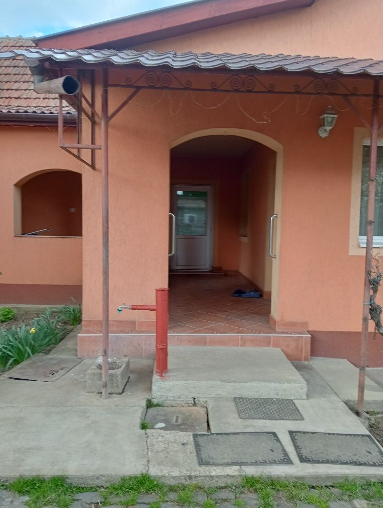 Vând casă familială în Biharia