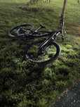Canyon torque al6