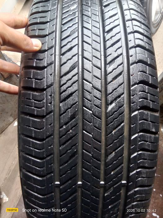 Kaptiva arginal r18