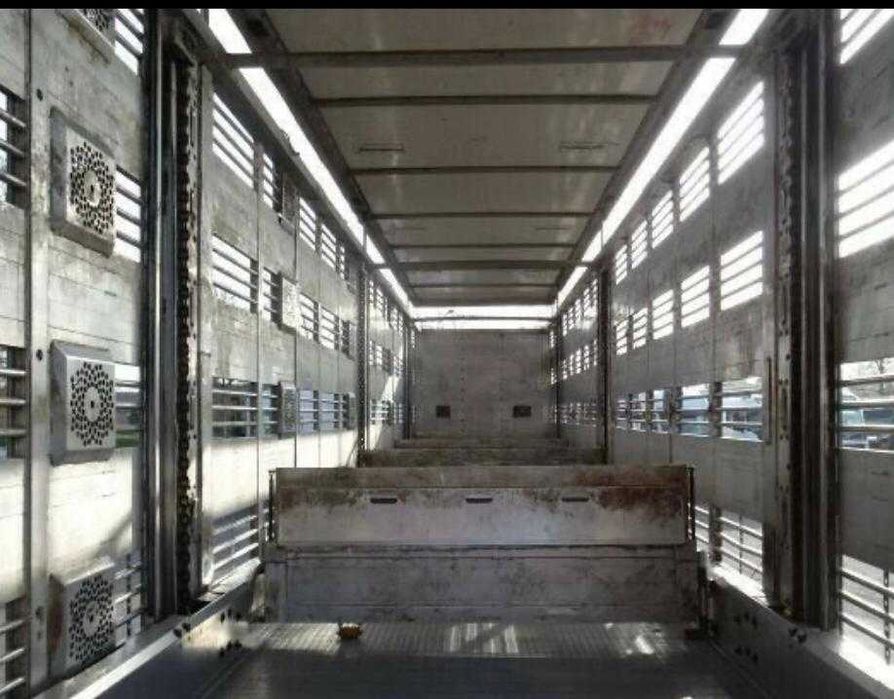 Vand Semiremorca Menke transport animale , posibilitate finantare