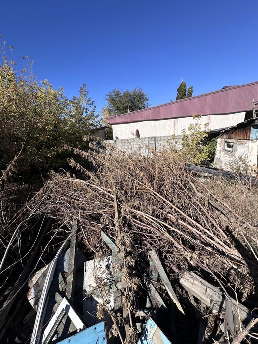 Дрова отдам бесплатно