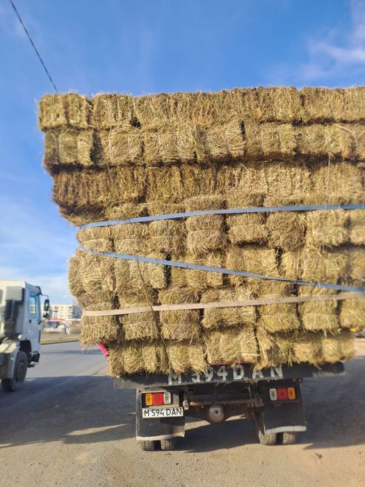 Продается тюковое сено , за 1 тюк 1200 тг