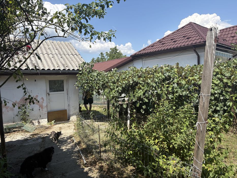 Casă veche + teren 655 m² în Bascov – Lăbușești, Argeș