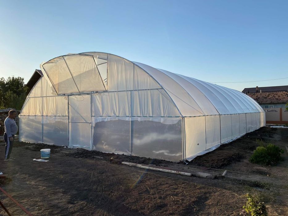 Solarii Legume  si Flori