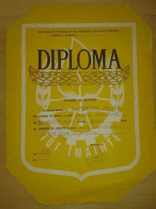Lot Diplome pentru Pionieri