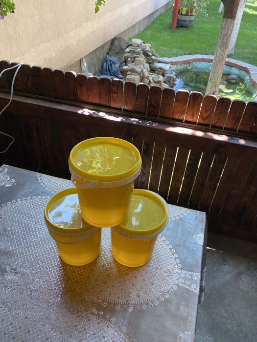 Miere de albina stupina proprie