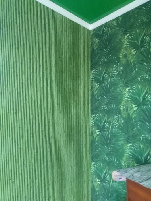 ремонт квартир,домов