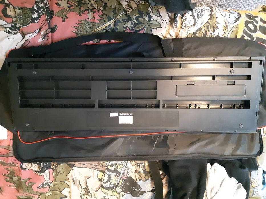 Orga Roland Go keys 5